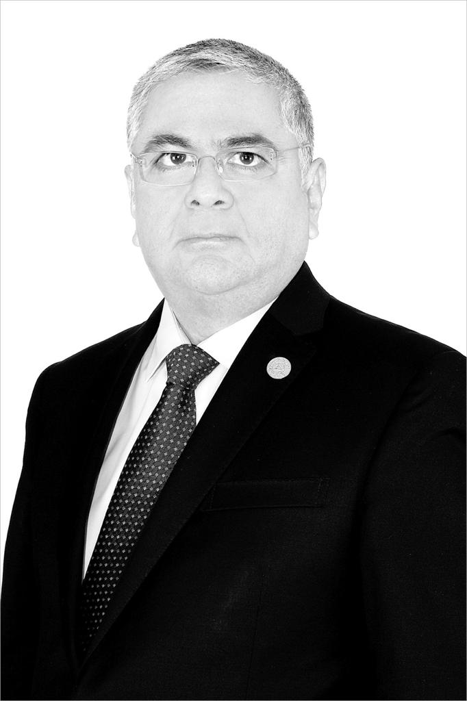 Martín Virgilio Bravo-Peralta